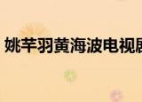 姚芊羽黄海波电视剧（姚芊羽黄海波电视剧）