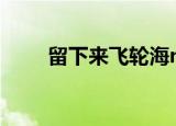 留下来飞轮海mv（留下来 飞轮海）