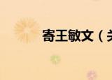 寄王敏文（关于寄王敏文介绍）