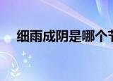 细雨成阴是哪个节日（细雨成阴近夕阳）