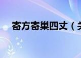 寄方寄巢四丈（关于寄方寄巢四丈介绍）