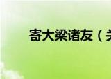 寄大梁诸友（关于寄大梁诸友介绍）