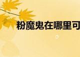 粉魔鬼在哪里可以买（褪魔粉在哪买）
