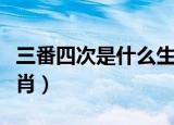 三番四次是什么生肖谜底（三番四次是什么生肖）