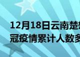 12月18日云南楚雄疫情新增多少例及楚雄新冠疫情累计人数多少