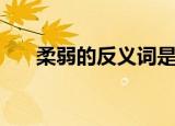 柔弱的反义词是什么（柔弱的反义词）