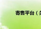 寄售平台（关于寄售平台介绍）