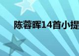 陈蓉晖14首小提琴曲联奏（陈蓉 海藻）