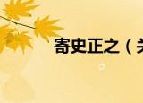 寄史正之（关于寄史正之介绍）