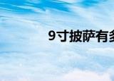 9寸披萨有多大（9寸笔记本）