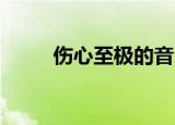 伤心至极的音乐（伤心至死 轮回）