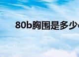 80b胸围是多少cm（80b胸围是多少）
