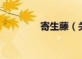寄生藤（关于寄生藤介绍）