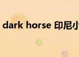 dark horse 印尼小姐姐翻唱（dark horse）