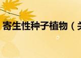 寄生性种子植物（关于寄生性种子植物介绍）