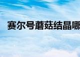 赛尔号蘑菇结晶哪里找（赛尔号蘑菇结晶）