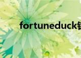 fortuneduck钱包（fortuneduck）