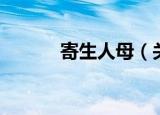 寄生人母（关于寄生人母介绍）