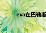 eva在巴勒斯坦视频（eva胶垫）