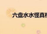六盘水水怪真相图片（六盘水水怪）