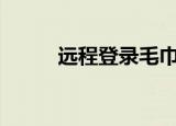 远程登录毛巾blinkenlights荷兰