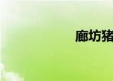 廊坊猪价（廊组词）