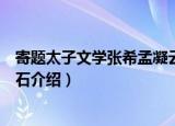 寄题太子文学张希孟凝云石（关于寄题太子文学张希孟凝云石介绍）