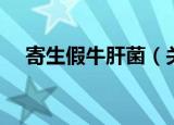 寄生假牛肝菌（关于寄生假牛肝菌介绍）