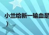 小兰给新一输血是哪一集（小兰给新一打电话）