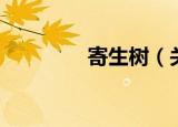 寄生树（关于寄生树介绍）