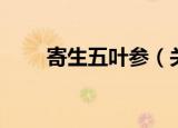寄生五叶参（关于寄生五叶参介绍）