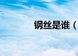 钢丝是谁（钢丝是谁的粉丝）
