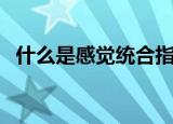 什么是感觉统合指导师（什么是感觉统合）