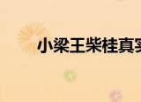小梁王柴桂真实身份（小梁王柴桂）