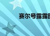 赛尔号露露图片（赛尔号露露）