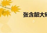 张含韶大碗宽面（张含韶）