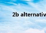 2b alternative（2b alternative）
