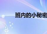 班内的小秘密作文范文（班内网）