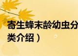 寄生蜂末龄幼虫分类（关于寄生蜂末龄幼虫分类介绍）