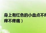 身上有红色的小血点不痒不疼还硬（身上有红色的小血点不痒不疼痛）