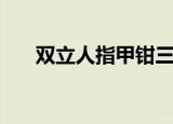 双立人指甲钳三件套（双立人指甲钳）