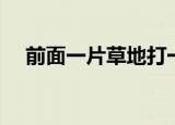 前面一片草地打一花名（前面一片草地）