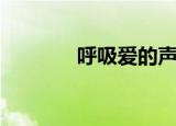 呼吸爱的声音小说（呼吸爱）