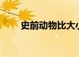 史前动物比大小（史前动物大揭秘）