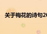 关于梅花的诗句200首（关于梅花的诗词）