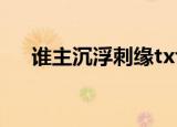 谁主沉浮刺缘txt下载（谁主沉浮刺缘）