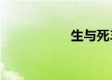 生与死3（生与死ol）