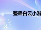 整蛊白云小游戏（整蛊白领先生）