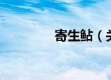 寄生鲇（关于寄生鲇介绍）