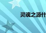 灵魂之源什么用（灵魂之语）